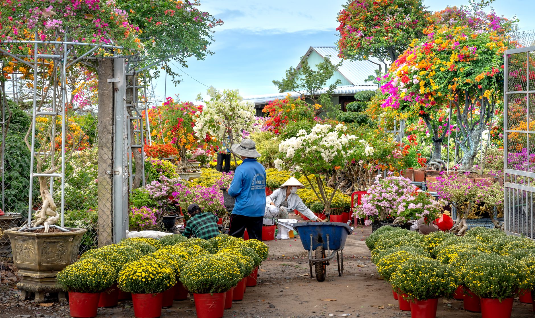 Patio & Hardscape – Salado